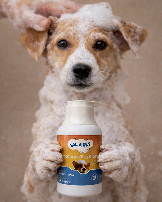 Sol & Sky Smoothening Dog Shampoo