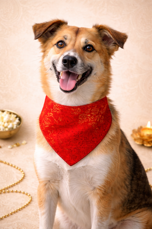 Sol & Sky Ethnic Bandana