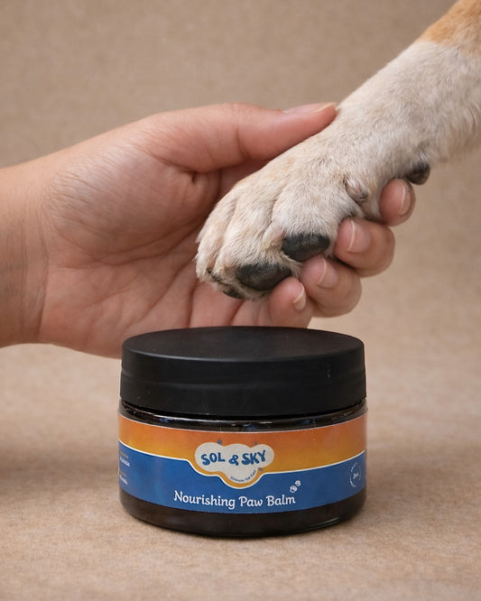 Sol & Sky Nourishing Paw Balm