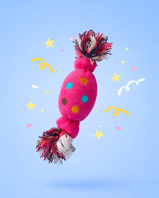 Sol & Sky Toffee Rope and Plush Toy